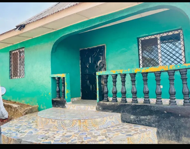 WhatsApp Image 2025-04-24 at 7.09.53 AM